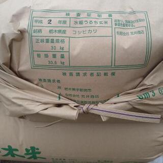 僅少🍚低農薬　新米コシヒカリ　玄米30kg 無料配達します❗