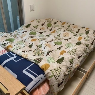 Ｗベッド 引取可能な方のみ