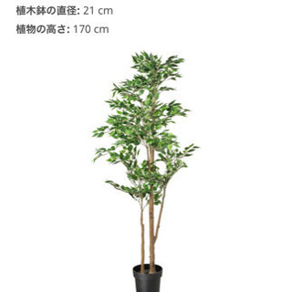 (決まりました)イケアの170cm+ニトリの140cm フェイクグリーンの画像
