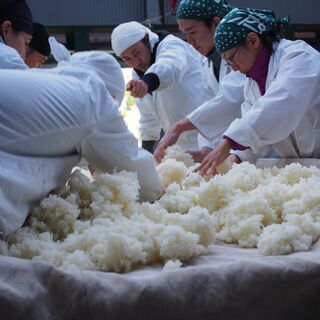 東京日本酒部メンバー募集 - その他