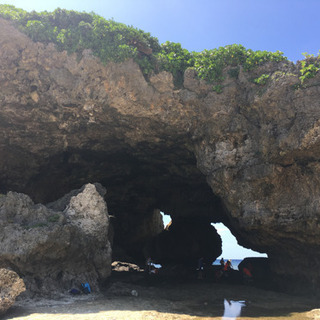 ビーチダイビングのバディ募集🌴