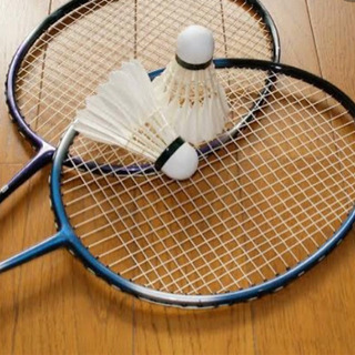 バトミントン　基礎うちをしていただける方