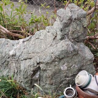 庭石を無料で差し上げます！