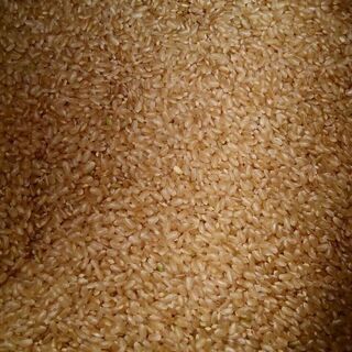 お取引相手様が決まりました。■長野県産コシヒカリ米2019年度産米◆飯山産 特A地区米　30kg玄米(もうすぐ古米になります)　限定１袋の画像