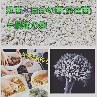 ３０分で仕込める手作り味噌の画像