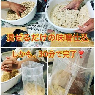 ３０分で仕込める手作り味噌の画像
