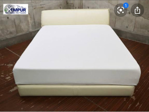 クイーンベット(値下げしました)