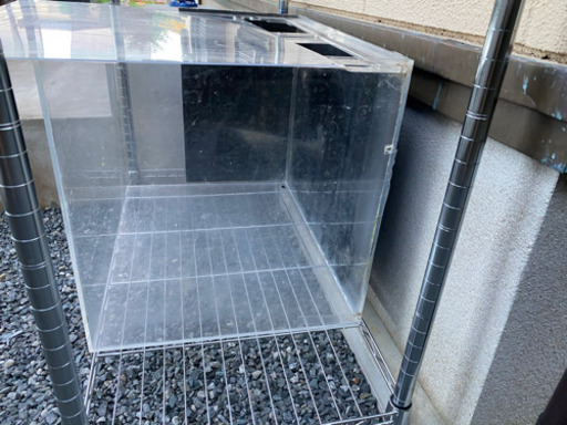 60センチワイド水槽　おまけ付き　※募集再開します。