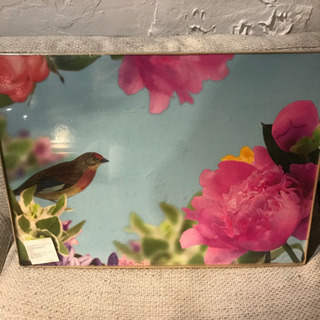 ☆IKEA☆アート☆フォトアート☆鳥☆