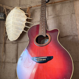 【たくさんのお問合せありがとうございます】YAMAHA ギター　...