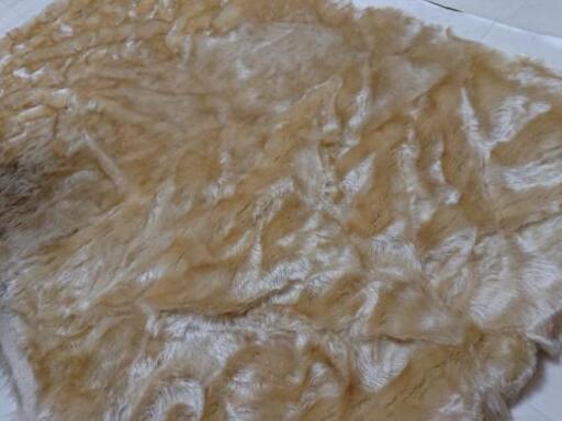 ボア生地(金色)②