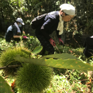 通いながら、自給自足しませんか？