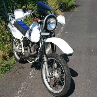 スズキ DJEBEL200(125ccエンジン搭載)の画像