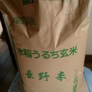 令和元年米 コシヒカリ玄米30キロ