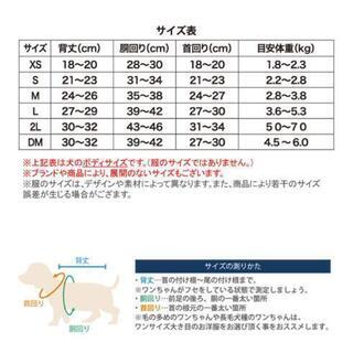 CECIL McBEE ワンちゃんの服【赤字御奉仕】の画像