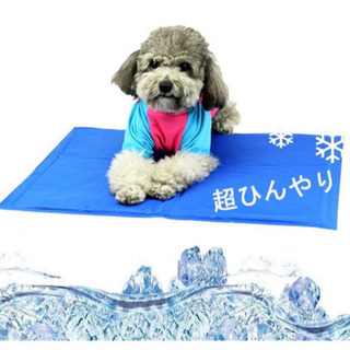 お譲り先決まりました。新品未使用、ひんやりマット 、超ひんやり 冷却マット の画像