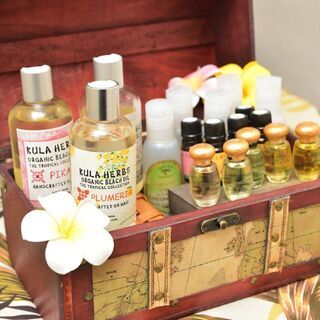 ハワイアンフォレストSpa木更津店スタッフ募集！ハワイアンサロン/ロミロミセラピストの画像