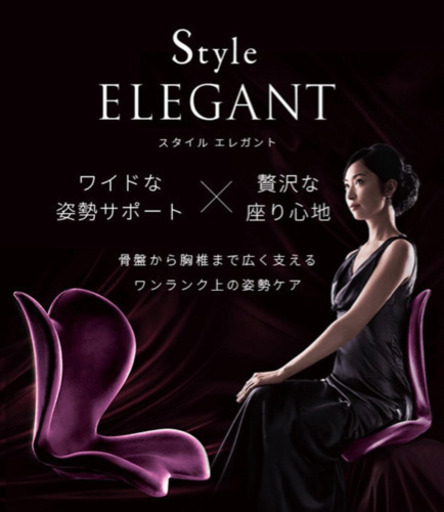 骨盤矯正補正、姿勢補助　激安処分価格