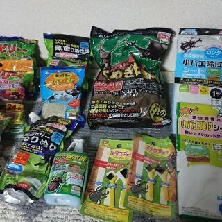 カブトムシ  飼育キット