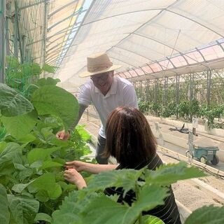 【若葉区/障がい者求人】しあわせな働き方を目指す。野菜づくりのお仕事を通して、働く「楽しさ」を見つける。の画像