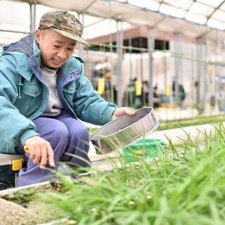 【八千代市/障がい者求人】自分のペースでお野菜作り♪農園スタッフ募集！！「ソーシャルファーム わーくはぴねす農園 ちば八千代」の画像