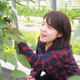 【八千代市/障がい者求人】自分のペースでお野菜作り♪農園スタッフ募集！！「ソーシャルファーム わーくはぴねす農園 ちば八千代」の画像