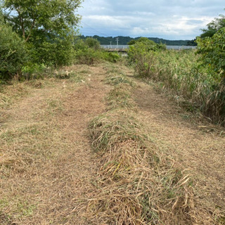❗10名急募8000~8500円❗草刈り作業員募集🌱