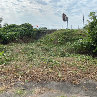 ❗10名急募8000~8500円❗草刈り作業員募集🌱の画像