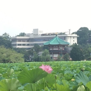 《1/7》ポールウォーキング教室、参加者募集！の画像