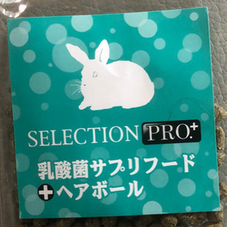 セレクションプロプラス　乳酸菌サプリフード