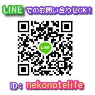 急募★経理スタッフ募集！月25万円～の画像