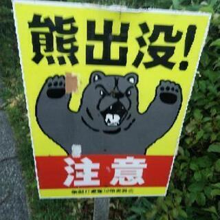 ソロキャン、ソロハイキング等の仲間募集