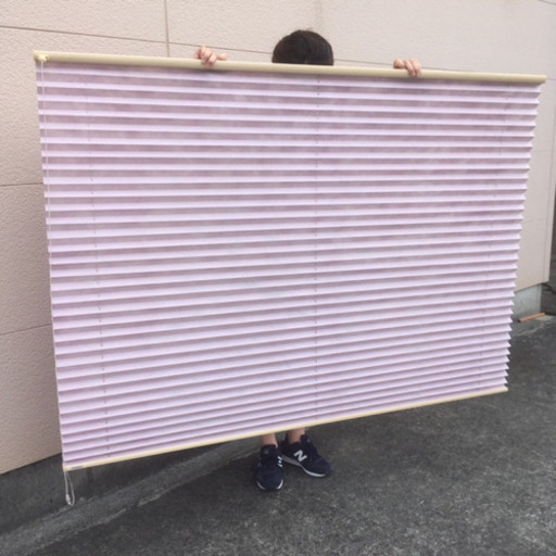 ニチベイ　プリーツスクリーン　シングル　もなみ