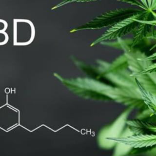 CBDに興味ある方‼️大募集