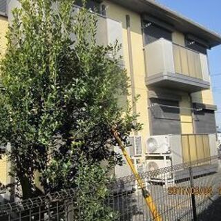🏠AD1-201　大家と家賃等の直接交渉可能　リノベーション済　広いパウダールームが特徴　1LDK🏠 - 宇都宮市