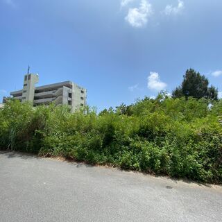 名護市辺野古土地 - 名護市