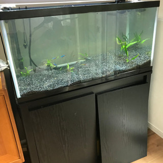水槽　90センチ　アクアリウム 