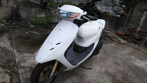 ⭐ホンダライブディオZX　AF35　白　タックロール　ゼッペケ？ゼックス？ゼットエックス？