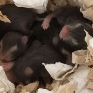 1度締め切ります