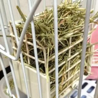 大型ラビットケージ★ウサギ★小動物ケージ★フルセットの画像