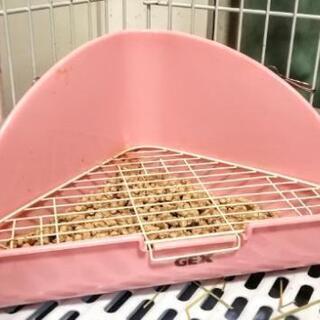 大型ラビットケージ★ウサギ★小動物ケージ★フルセットの画像