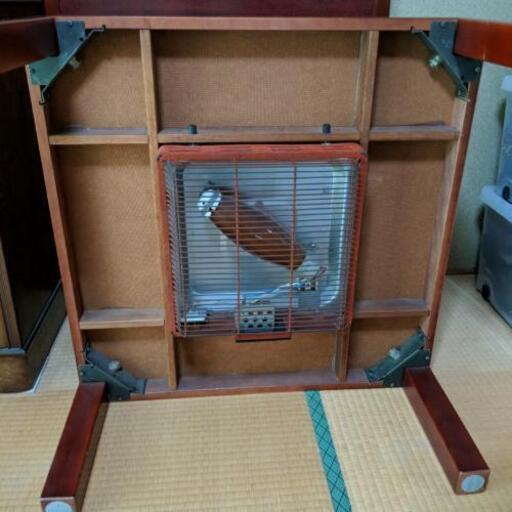 こたつ