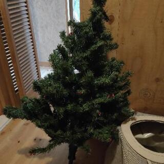 クリスマスツリーの画像