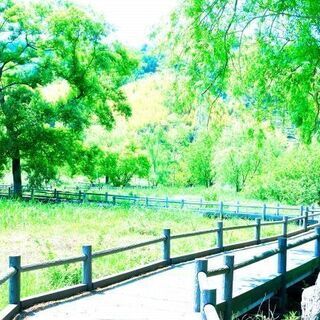 独身限定【羽生市】羽生水郷公園お散歩ピクニック（9/22 火 1...