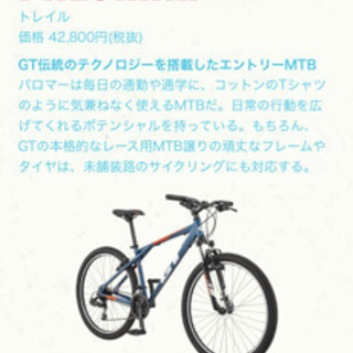 GT パロマー　XS