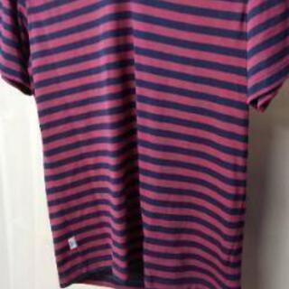 EDWINTシャツ