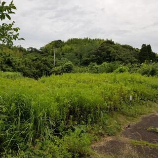 不動産0円物件＃31茨城県鉾田市青山