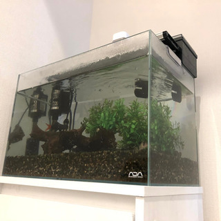 【終了】ADA水槽エーハイムフィルター他まとめて