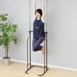 ぶら下がり健康器スペシャルセット【新品・未使用品】の画像