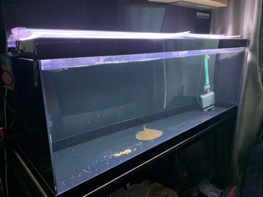 【アクリル水槽　1200×450×450 上部濾過　水槽台セット　おまけ付き